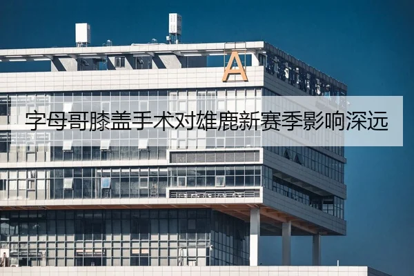 字母哥膝盖手术对雄鹿新赛季影响深远（leyu）